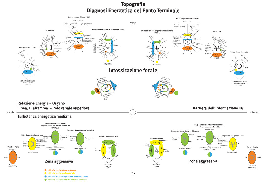 Topografia: Diagnosi Energetica del Punto Terminale